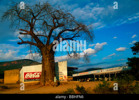 Un baobab surplombe les magasins de commerce ruraux dans la province de Manicaland au Zimbabwe Banque D'Images