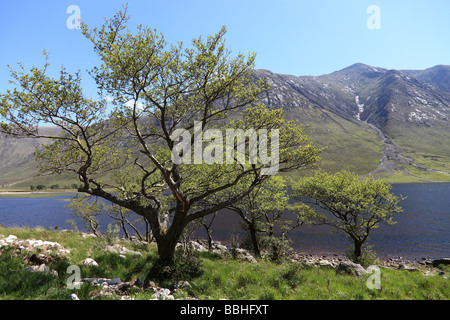 Le Loch Etive, Glen Etive, près de Glencoe, Lochaber, Ecosse Banque D'Images