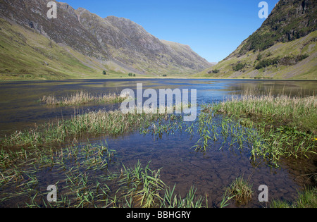 Le printemps arrive au Loch Achtriochtan dans le col de Glencoe Banque D'Images