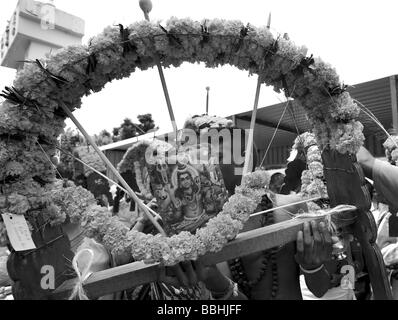 DURBAN, AFRIQUE DU SUD, un Hindou dévot porte son kavady après beaucoup de dévots ont tiré leurs chars respectifs et paré de fleurs Banque D'Images