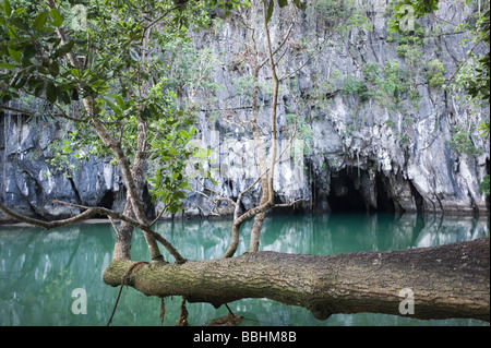 Entrée de la rivière souterraine de Puerto Princesa Parc National à Palawan Philippines Banque D'Images