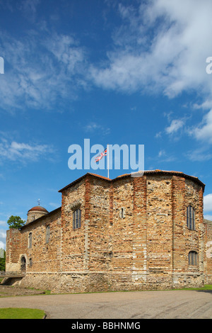 Grande-bretagne Angleterre Essex Colchester Castle Museum Banque D'Images