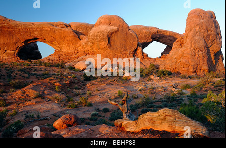 Fenêtres nord et sud au coucher du soleil Arches National Park Moab Utah USA Banque D'Images