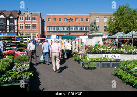 Fleur et Petit Marché français Mai 2009 Bury St Edmunds Banque D'Images