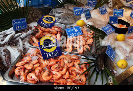 Fruits de mer à vendre à Antibes Marché France Banque D'Images