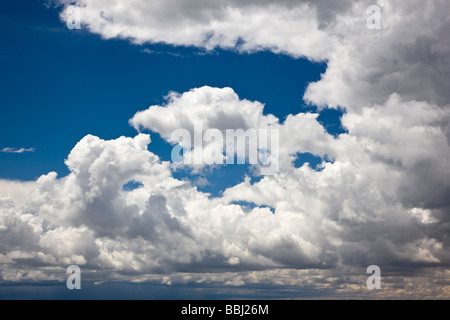 Cumulous blanc Puffy nuages contre un ciel bleu clair Sommet Cerro Autoroute 50 est de Montrose Colorado USA Banque D'Images