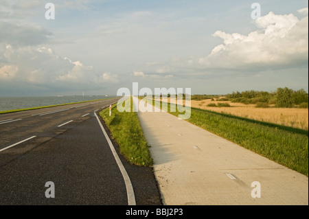 Oostvaardersplassen, Pays-Bas Banque D'Images