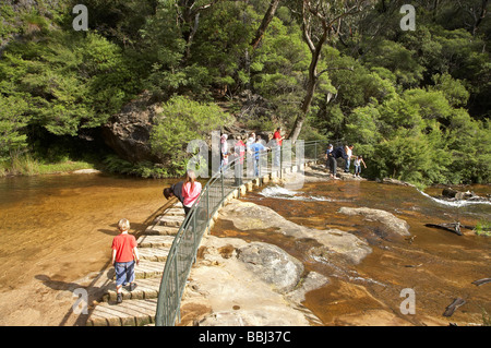 Les promeneurs sur les pas japonais sur le sentier du col à l'échelle nationale Wentworth Falls Blue Mountains Australie Nouvelle Galles du Sud Banque D'Images