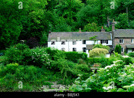 Pays Blanc chalet sur les rives du fleuve Severn dans le Shropshire, Ironbridge Banque D'Images