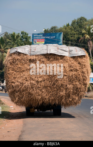 Camion transportant du foin sur la route Kerala Inde Banque D'Images