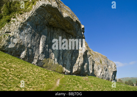 Dh Kilnsey Crag KILNSEY CRAG Yorkshire du Nord à l'échelle d'escalade de rocher falaise Wharfedale Yorkshire Dales National Park Banque D'Images