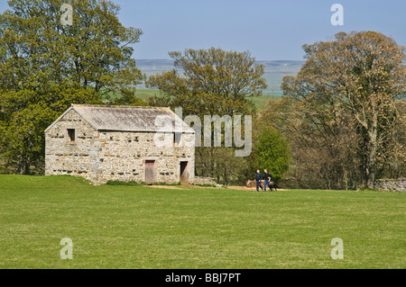 dh traditionnelle Dales Stone Barn WENSLEYDALE NORTH YORKSHIRE Anglais randonneurs randonnées randonnées randonnées pédestres randonneurs ruraux randonneurs Angleterre Barns royaume-uni Banque D'Images