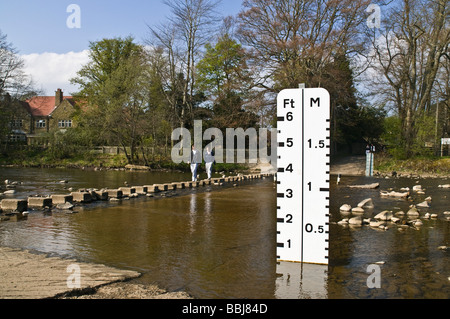 dh River Wear ford Stepping Stone STANHOPE NORTH YORKSHIRE Crossing les personnes utilisant des pierres chemin inondation mesure de l'eau au royaume-uni les enfants mesureurs Banque D'Images