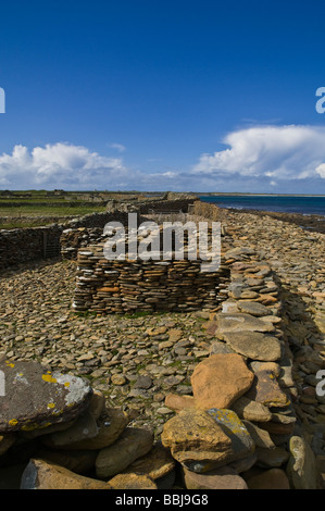 Dh Brides Ness NORTH RONALDSAY ORKNEY North Ronaldsay boîtiers moutons en pierre Banque D'Images