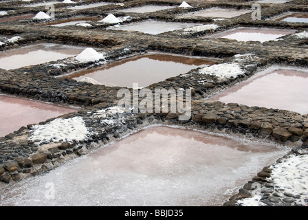 Las Salinas del Carmen Banque D'Images