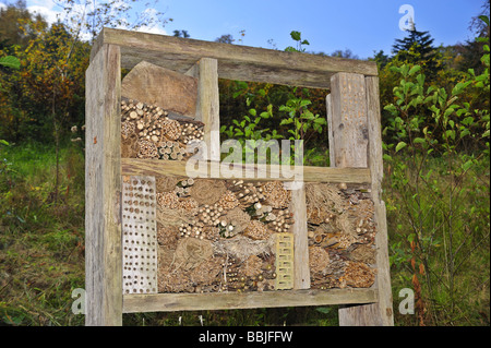 Un nichoir pour diverses espèces d'abeilles et de guêpes dans une réserve naturelle de Suisse. Banque D'Images