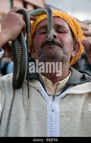 Charmeur de serpent à Marrakech Maroc Banque D'Images