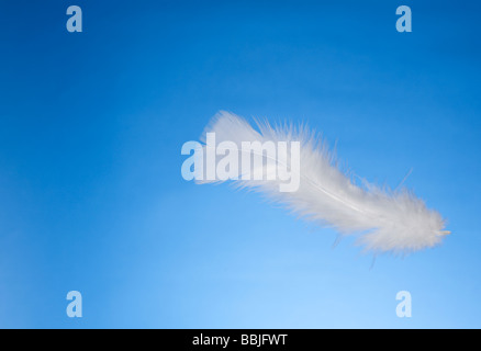 Horizontal en plumes Banque D'Images