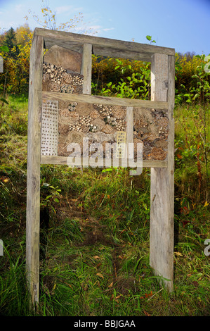 Un nichoir pour diverses espèces d'abeilles et de guêpes dans une réserve naturelle de Suisse. Banque D'Images