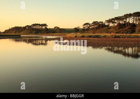 Dans Salternon étés soir Localisation à l'embouchure de la loutre de rivière Banque D'Images