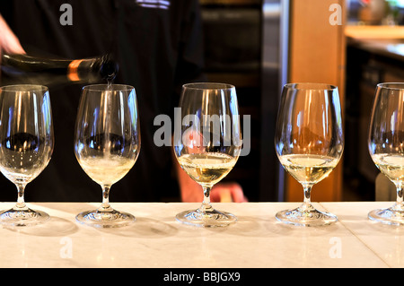 Rangée de verres à vin en dégustation de vin Banque D'Images