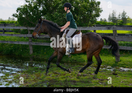 Girl riding dans une flaque d'eau sur un cheval de race Thoroughbred de la baie à un canter Banque D'Images