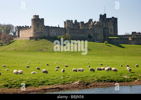 Château d'Alnwick Northumberland Banque D'Images