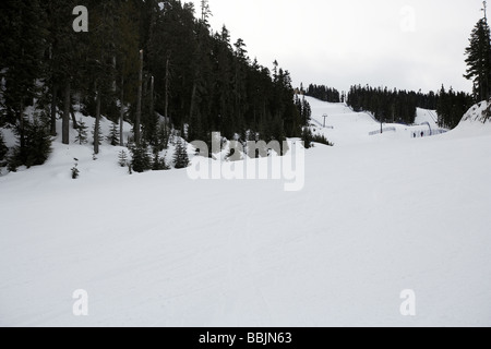 Dave Murray downhill run partie des jeux olympiques de 2010 Whistler British Columbia Canada Banque D'Images