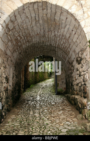 Tunnel voûté en pierre le long d'une ruelle de Saint-Cirq-Lapopie, Midi Pyrénées, France Banque D'Images