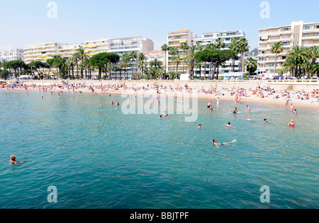 La plage principale, sur la Croisette, dans le centre de Cannes, Côte d'azur, au cours de la célèbre festival du film. Le sud de la France. Banque D'Images