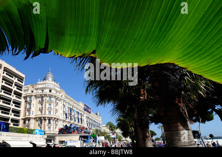 Le Palace Hôtel 'Carlton' ; l'un des hôtels appréciés par des célébrités à Cannes pendant le festival, à Cannes, France. Banque D'Images