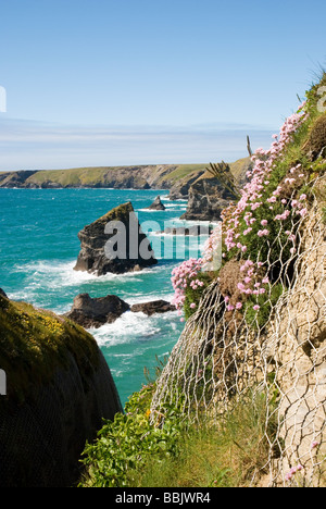 Carnewas et Bedruthan Steps à Cornwall, England UK Banque D'Images