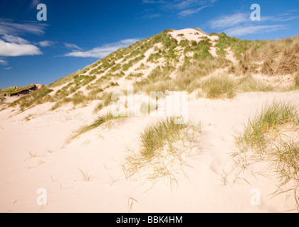 Dunes de sable, Lunan Bay, Angus, Scotland Banque D'Images