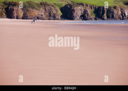 Lunan Bay, Angus, Scotland Banque D'Images