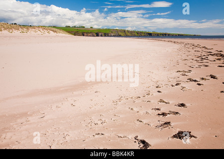 Lunan Bay, Angus, Scotland Banque D'Images