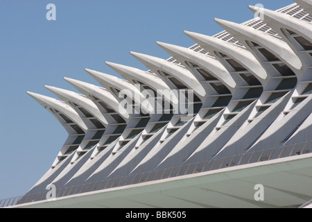 Conçue par Santiago Calatrava Valence, Cité des Arts et des Sciences est une collection sensationnelle de l'architecture moderne . Banque D'Images