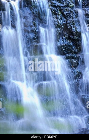 Cascade voilée sur roches moussues. Banque D'Images