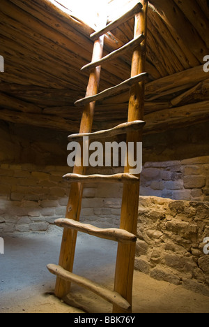 Mesa Verde National Park Spruce Tree House à l'intérieur de l'échelle couverts kiva Banque D'Images