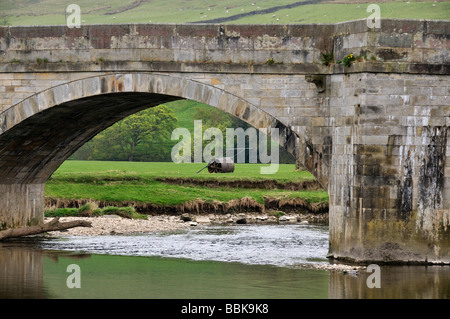 Pont sur la rivière Wharfe à Tonbridge, North Yorkshire Dales National Park Banque D'Images