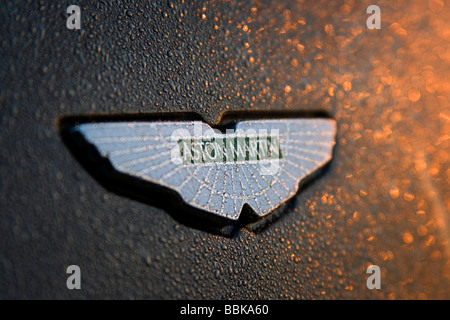 Aston Martin V8 Vantage dans la lumière du soleil du matin Banque D'Images