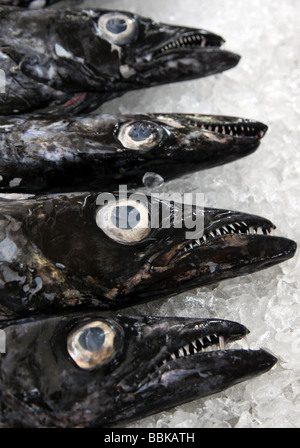 Espada à vendre au marché de Funchal poisson qui vit huit brasses de profondeur Banque D'Images