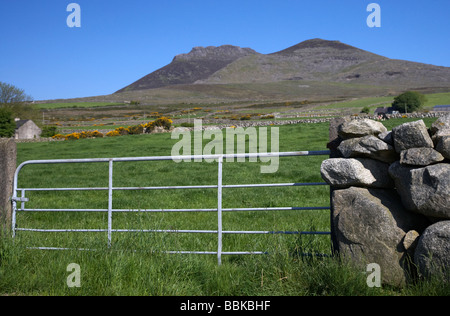 Porte d'entrée de domaine sous slieve binnian et wee binnian dans les montagnes de Mourne Royaume-Uni Irlande du nord du comté de Down Banque D'Images