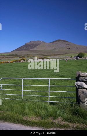 Porte d'entrée de domaine sous slieve binnian et wee binnian dans les montagnes de Mourne Royaume-Uni Irlande du nord du comté de Down Banque D'Images