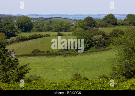 Terres agricoles drumlin paysage près de Strangford Lough County Down Irlande du Nord uk Banque D'Images