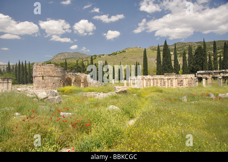 Arc de Domitien et Plateia à colonnades, Agora, Hiérapolis, province de Denizli, République de Türkiye Banque D'Images