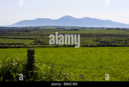 Vue sur le plus de montagnes de Mourne haies et champs dans le comté de Down en Irlande du Nord uk Banque D'Images