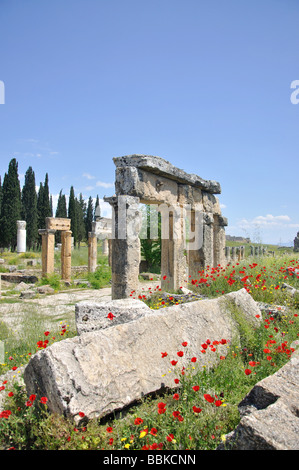 Plateia à colonnades, Agora, Hiérapolis, province de Denizli, République de Türkiye Banque D'Images