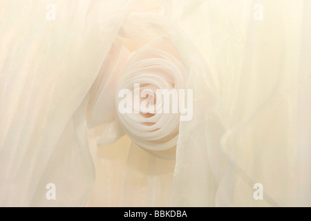 Close-up de robe de mariage rose tissu Banque D'Images