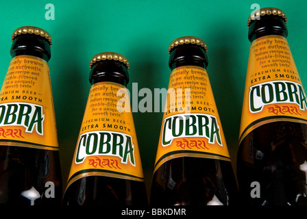 Cobra la bière en bouteille. Banque D'Images