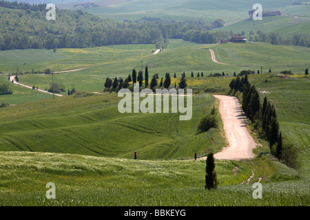 Route de terre dans le Val d'Orcia, Toscane, Italie Banque D'Images